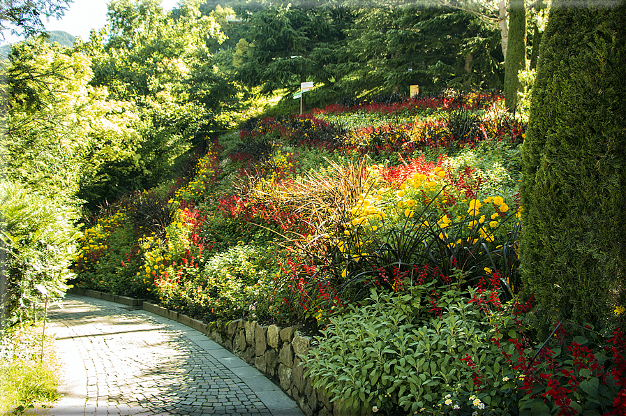 foto Giardini Trauttmansdorff - Boschi del Mondo